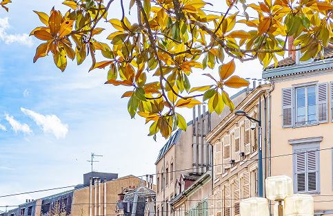 Immeubles de centre-ville ensoleillés, patrimoine immobilier du Limousin